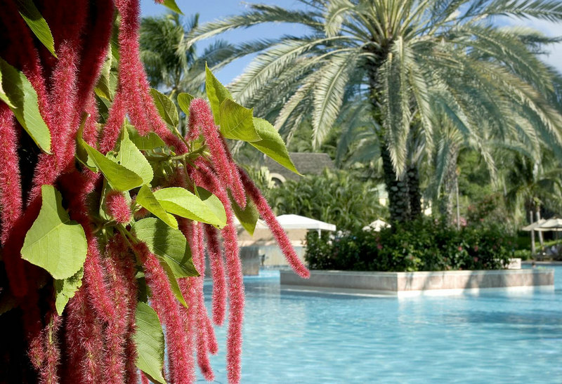 毛不易个人简介资料—毛不易简介个人简历