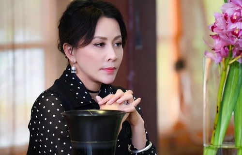 男模张爱朋—张爱朋资料